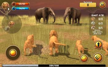 Wild Lion Simulator 3D截图5