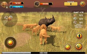 Wild Lion Simulator 3D截图4