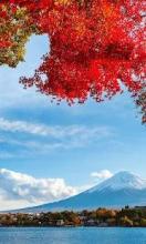 Autumn Beautiful Jigsaw Puzzles Free截图5