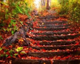 Autumn Beautiful Jigsaw Puzzles Free截图1