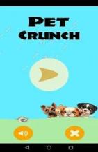 Pet Crunch Time截图5