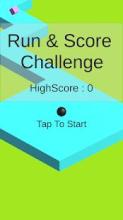 Run & Score Challenge截图4