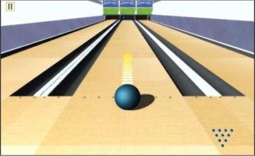 Bowling 3d master截图3