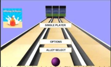 Bowling 3d master截图4