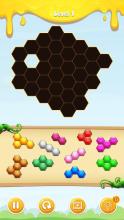 Queen Bee Hexa截图1