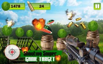 shooting sniper game target截图2