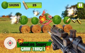 shooting sniper game target截图4