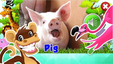 Animal sounds - App for kids截图2