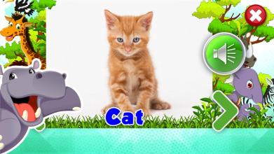 Animal sounds - App for kids截图1