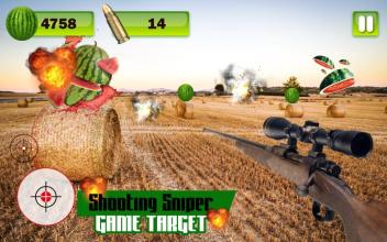 shooting sniper game target截图3