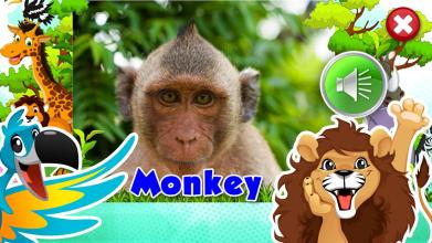 Animal sounds - App for kids截图3