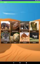 Animal Noise Soundboard For Kids截图5