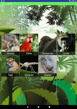 Animal Noise Soundboard For Kids截图2