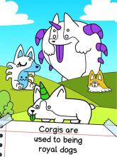 Corgi Evolution - Merge and Create Royal Dogs截图4