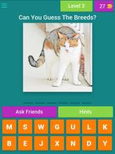 Guess The Cat Breeds Most Popular Cat Breeds Quiz截图3