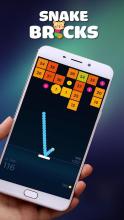 Snake Hunting - Bricks Snake Game截图3