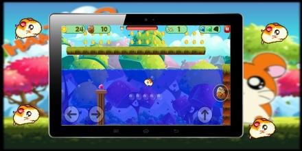 mysterious hamtaro super miracle world截图4