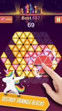 Triangle Candy - Block Puzzle截图3