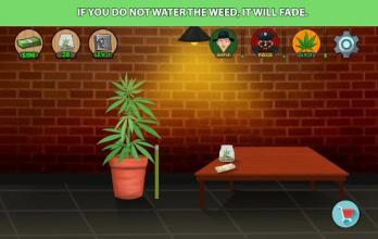 Weed Tycoon截图5