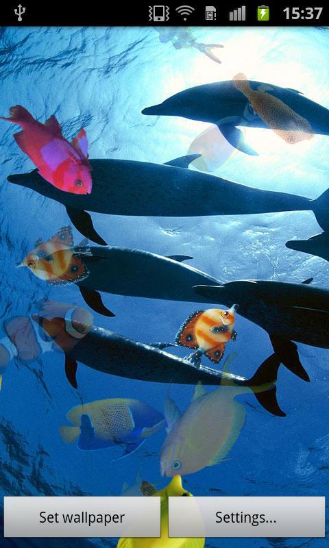 Ocean Fish Live Wallpaper截图4