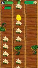 Yellow Chick Game截图2