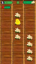 Yellow Chick Game截图3