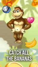 Monkey Journey截图2