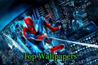 Spiderman heroes Wallpaper HD截图2