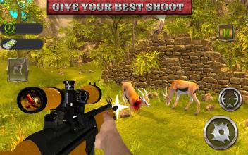 ANIMAL HUNTING GAMES: SHOOTER截图5