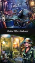 Hidden Object Challenge截图3