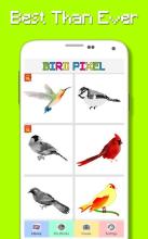 Bird Color By Number - Pixel Art截图3