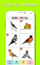 Bird Color By Number - Pixel Art截图5