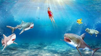 Shark 3D Hunting Games 2018截图4