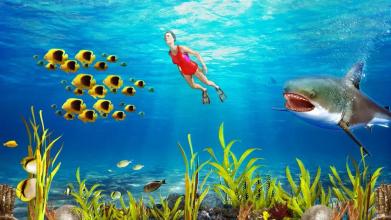 Shark 3D Hunting Games 2018截图2