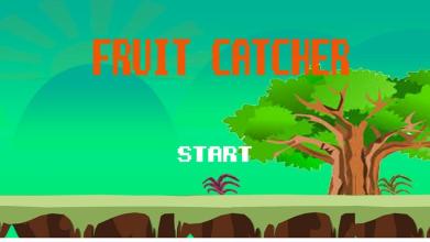 Fruit Catcher Game截图4