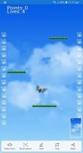 fly birds截图2