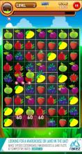 Fruit Match Fun Match 3截图2