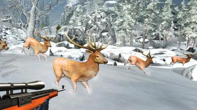 Jungle Safari Hunt - Deer Hunter Games截图4