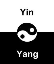 Ying Yang截图1