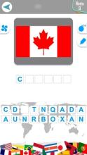 Guess Flags of Countries : Quiz截图1