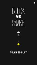 Block VS Snake 2018截图3