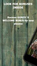 Gonzo Quest: Bonus Run截图5