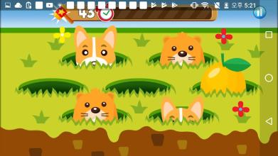 Kids Catch : Animals截图2