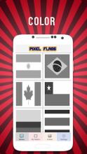 Color by number flags - Pixel Art截图4