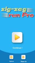 Zig Zag Run Pro截图5