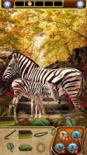 Hidden Object - Animal Adventures截图5