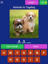 Animals Quiz in Filipino (Tagalog)截图5