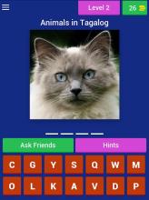 Animals Quiz in Filipino (Tagalog)截图4