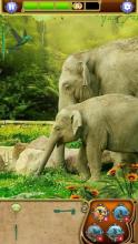 Hidden Object - Animal Adventures截图4