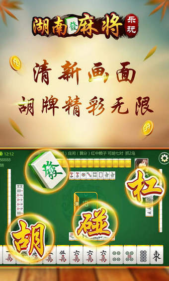 乐玩湖南麻将截图1